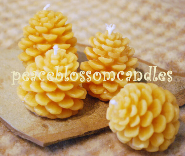 Beeswax Tiny Pine Cone Candles