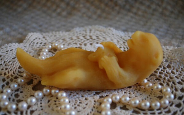 Beeswax Otter Candle