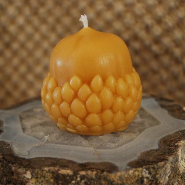 Beeswax Acorn Candle