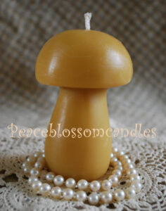 Beeswax Candle Mushroom Round Top