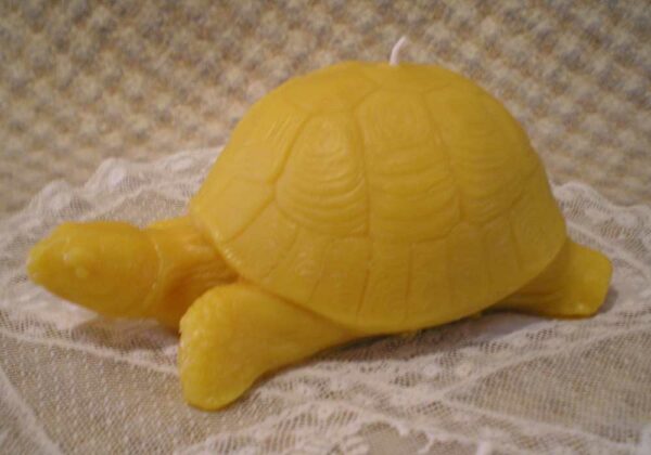 Beeswax Turtle Tortoise Shaped Candle