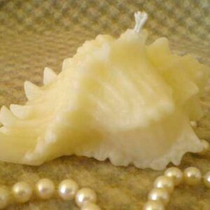 Beeswax White Shell Candle